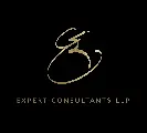 Er expert consultant llp